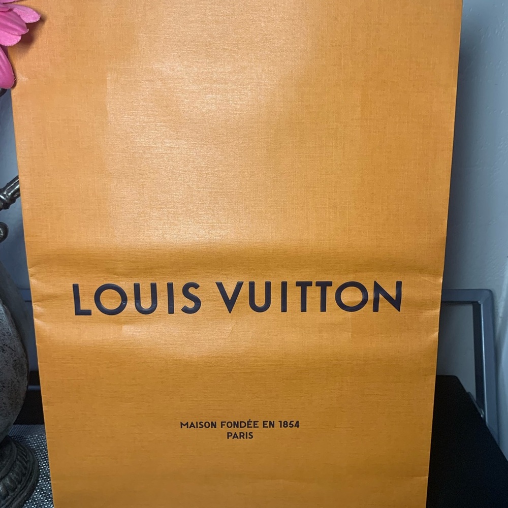 Louis Vuitton Paper Bag